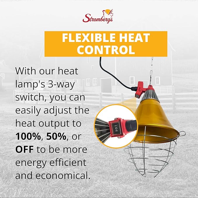 Stromberg's Heat Lamp with Safety Switch, Stainless Steel, Chicken Coop, Reptiles, Piglets, Infrared Light, Baby Lambs, Baby Goats, Newborn Livestock, Puppies, 250W, 6.5 Foot Cord