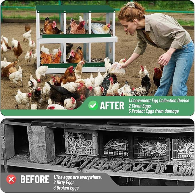 Chicken Nesting Boxes, 6-Compartment Metal Egg Laying Box with Swing Perch and Secure Lid – Versatile Wall Mount or Free Standing Suitable for Various Chicken Breeds - Green