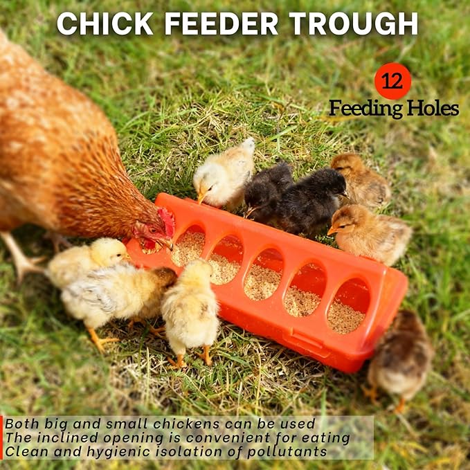 Chick Feeder and Waterer Kit,BrTurkey Duck Quail Poultry Feeder,Brooder Coop Supplies for Poultry,Included 5 Components
