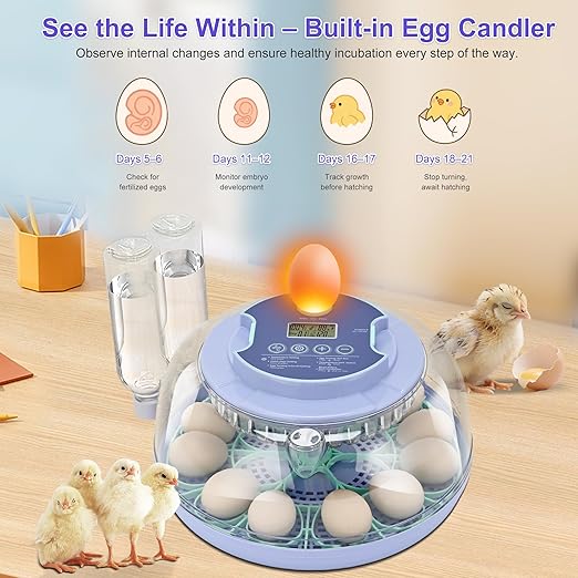 18 Egg Incubator for Hatching Chicks, Automatic Egg Turner Holds 18 Eggs, Smart Incubator 360° Clear Window with Temperature and Humidity Display Egg Candler for Small Poultry Ducks Quails Eggs