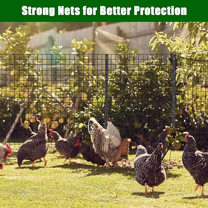 16 Gauge Hardware Cloth 2In x 3In Mesh 24In x 50Ft – Galvanized Welded Wire Mesh Roll | Black Chicken Wire Fence for Poultry, Yard Farm Garden Animal & Plant Protection Fencing