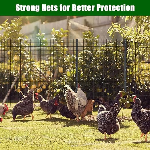 16 Gauge Hardware Cloth 24In x 50Ft – 2In x 3In Galvanized Welded Wire Mesh Roll | Chicken Wire Fence for Poultry, Yard Farm Garden Animal Plant Protection – Black