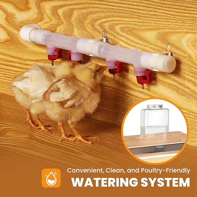 Brooder for Chicks, 32" Chicken Brooder with Feeding & Watering System, Upgrade Sliding Door Design, Super Easy to Clean Up to 30 Chicks 32" L x 16" W x 16" H