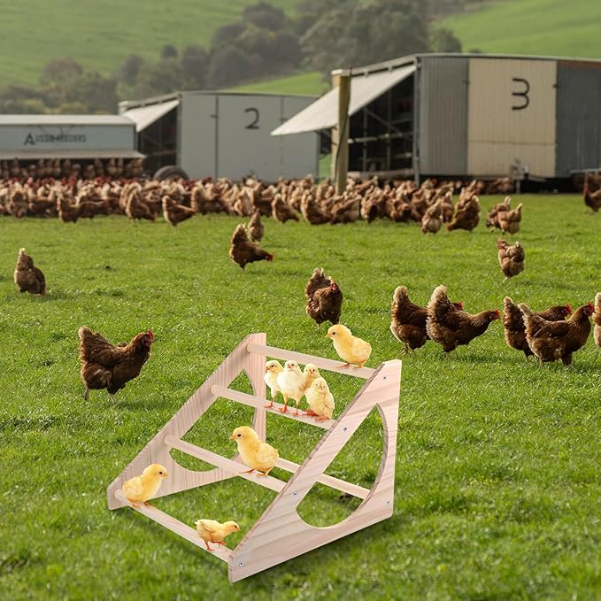 Chicken Perch Stand Wooden Chicken Roosting Bar Strong Stable Roosting Bar for Coop and Brooder, Fun Toys for Chick Indoor/Outdoor Use