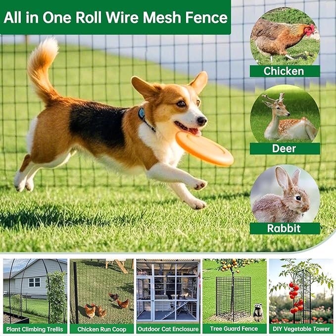 AMAGABELI GARDEN & HOME Black PVC Coated Welded Wire Fence 36inchx50ft 2inchx3inch 16Gauge Garden Border Fencing Roll Vinyl Coating Metal Wire Mesh Garden Bed Plant Supports Poultry Netting Cage