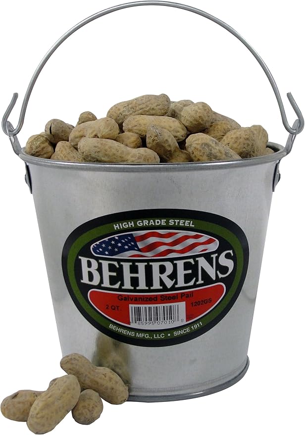 Behrens Galvanized Steel Utility Pail, 2-Quart, Silver