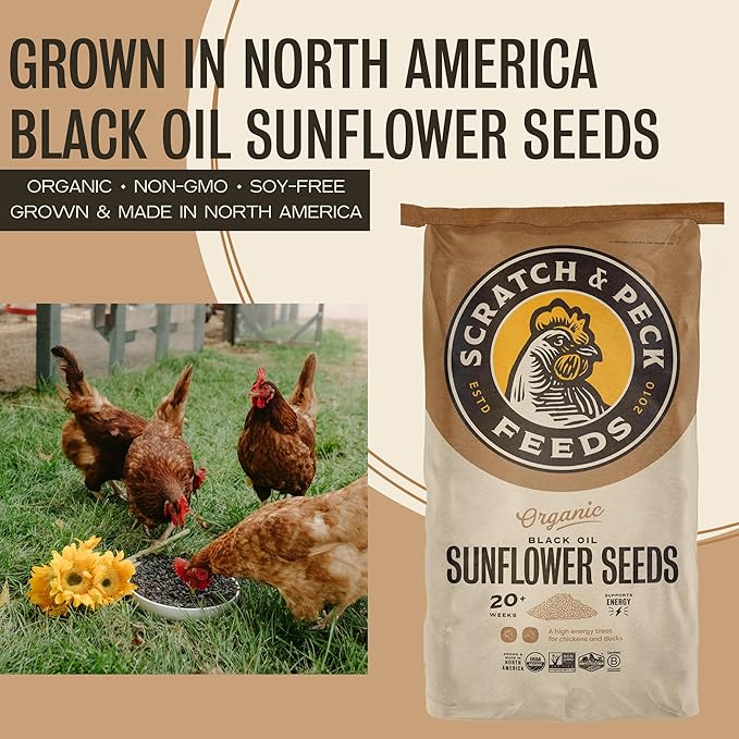 Scratch and Peck Black Oil Sunflower Seeds Chicken and Duck Treat - 25 lbs Bag - 15% Protein, Certified Organic and Non-GMO Project Verified Chicken Food