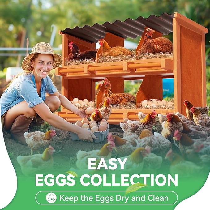 Chicken Nesting Boxes,6 Compartments Wooden Nesting Boxes for Chickens,Laying Boxes for Hens Ducks Poultry Protect Eggs Chicken Coops Easy Egg Collection (6 Hole)