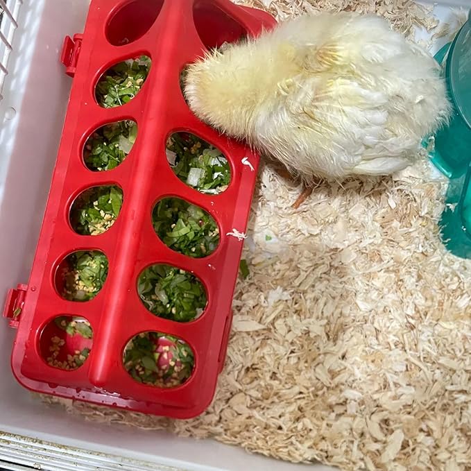 Oncpcare Chick Feeder and Waterer Kit, 4 Pack Baby Chick Starter Kit | Essential Supplies and Accessories for Coop, Duckling, Quail, Pigeon