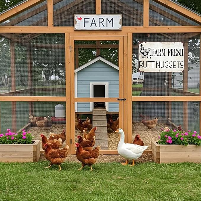 Vintage Metal Signs Chicken Coop Signs for Farm Yard Decor, Tin Sign for Home Farm Chicken Coop Farmhouse Kitchen Garden Decor 8 X 12 Inch