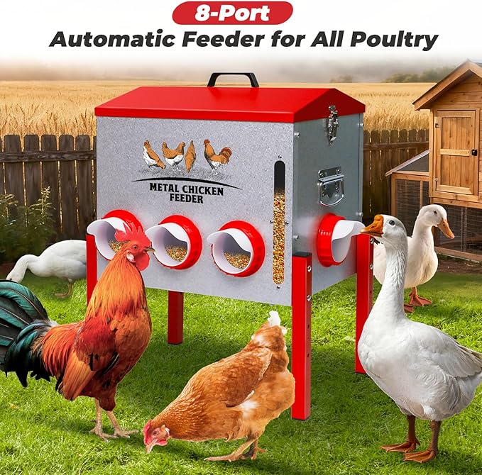 Automatic Chicken Feeder 50LBS Large Capacity, 8 Anti-Waste Ports Metal Poultry Feeder with Height Adjustable Stand, Waterproof Rodent Proof Feed Box with Lid Viewing Window for Hens Ducks Geese