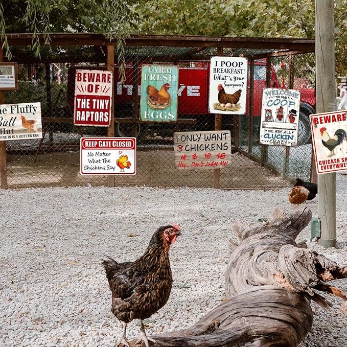 8 Pack Chicken Coop Accessories, Funny Chicken Coop Metal Signs Outdoor Decor Chickens Farm Personalized Tin Sign Chicken Gifts For Lovers House Decor 8×12 Inch