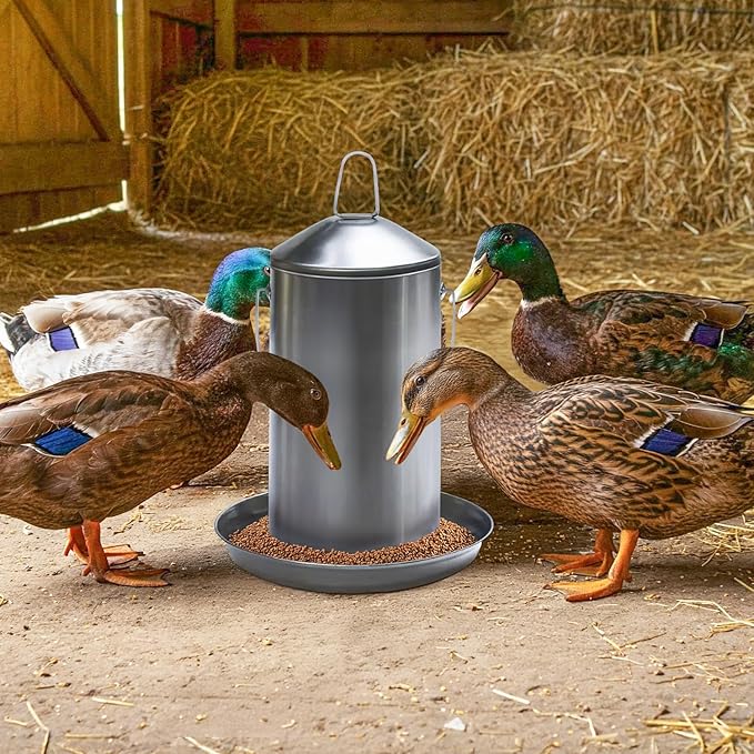 Plexon 8.8 Lb Poultry Feeder Stainless Steel Hanging Chicken Feeder no Waste Food-Grade with 10 Gallon Galvanized Storage Bucket with Locking Lid for Bird Seed Chicken Feed, Bundle