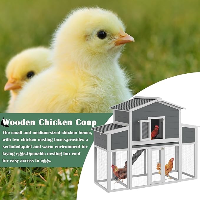 Wooden Chicken Coop with Run, Outdoor Chicken House with 2 Nest Boxes for 2-6 Chickens, Outside Hen House Poultry House Pet Hutch Chicken Cage with Waterproof Roof & Ramp, (66''LX32''WX53''H)