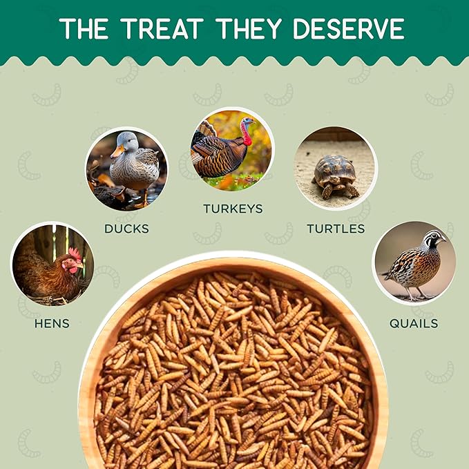FLYGRUBS 20 lbs Dried Mealworms for Chickens – 85X More Calcium,Non-GMO,High-Protein Feed & Molting Supplement for Hens, Ducks, Turkeys, Wild Birds, Additive & Preservative Free