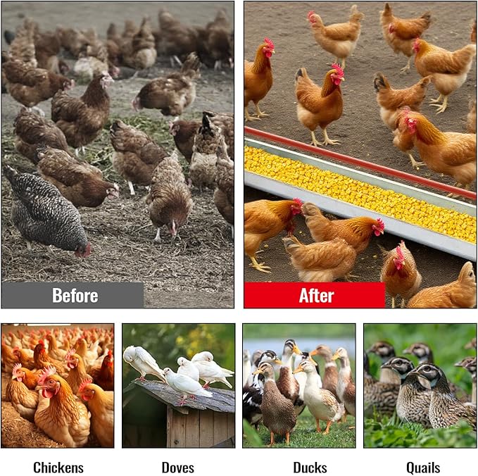 Chicken Feeding Trough 45", Heavy Duty Galvanized Steel Poultry Feeder with Red Crossbar & Drainage Holes, Large Capacity Feeder Trough for Chicken, Duck, Goose, Turkey, Rabbit, Pigeon