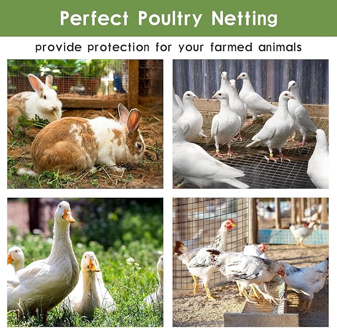 Tongmo Black Hardware Cloth, 1/2 inch 60'' x 100'Chicken Wire Fence, 19 Gauge Vinyl Coated Welded Cage Wire Mesh Roll Supports Poultry Netting Cage Garden Fence