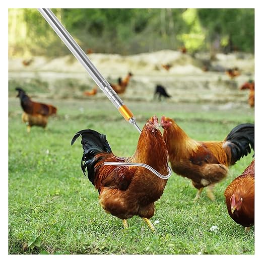 Stainless Steel Retractable Chicken Catcher Tool with Hook & Net, 16-60 Inch Adjustable Poultry Catcher for Chickens Ducks Turkeys Geese