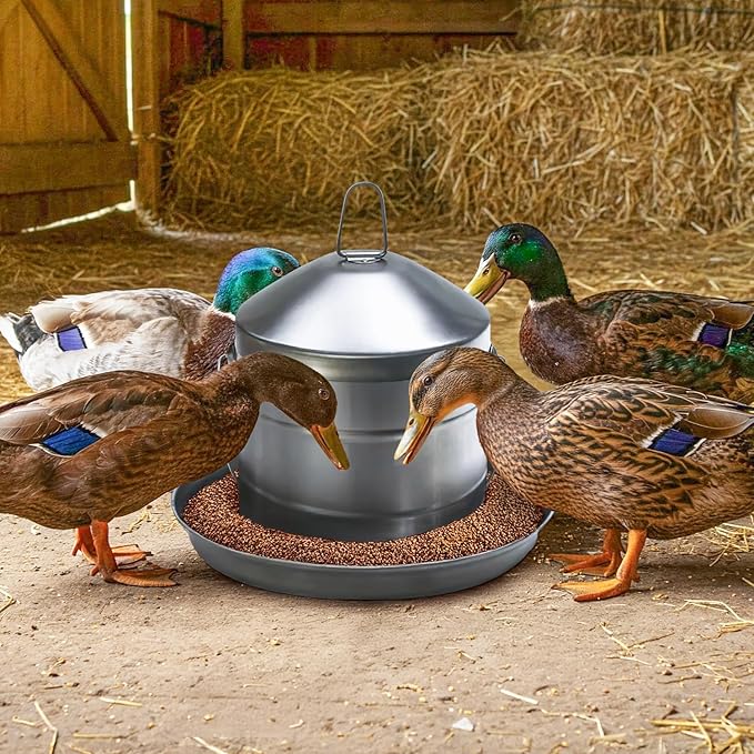 Plexon 17.6 Lb Poultry Feeder Stainless Steel Hanging Chicken Feeder no Waste Food-Grade with 10 Gallon Galvanized Storage Bucket with Locking Lid for Bird Seed Chicken Feed, Bundle