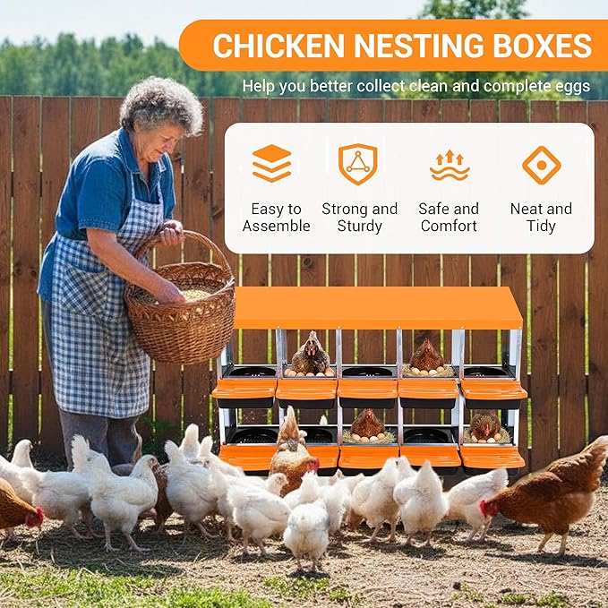 Chicken Nesting Box 10-Hole Roll Away Egg Laying Box with Lid, Galvanized Steel Rustproof Poultry Coop Box, Easy Clean, Wall Mountable No Bracket Needed for Hens, Orange