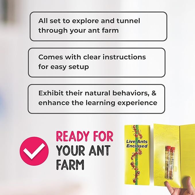 Nature Gift Store 1 Tube of Live Ants Plus Ant Food and Honey Treat: Ant Habitat Kit Refill