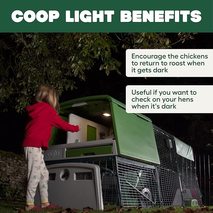 Omlet Coop Light for The Automatic Chicken Coop Door Opener | Encourages Your Flock to Roost | Add Gentle Illumination to Their House | Light Only