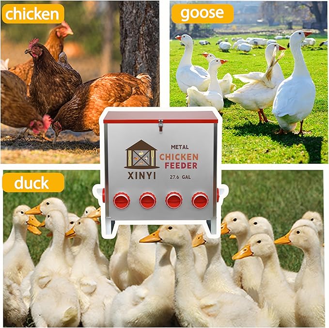 XINYI Automatic Metal Chicken Feeder, 27.6 Gallon Large Capacity with 10 No Waste Ports, Gravity Feeder with Locking Lid & Riveted Handles, Rodent Proof and Weatherproof for Your Chicken Coop