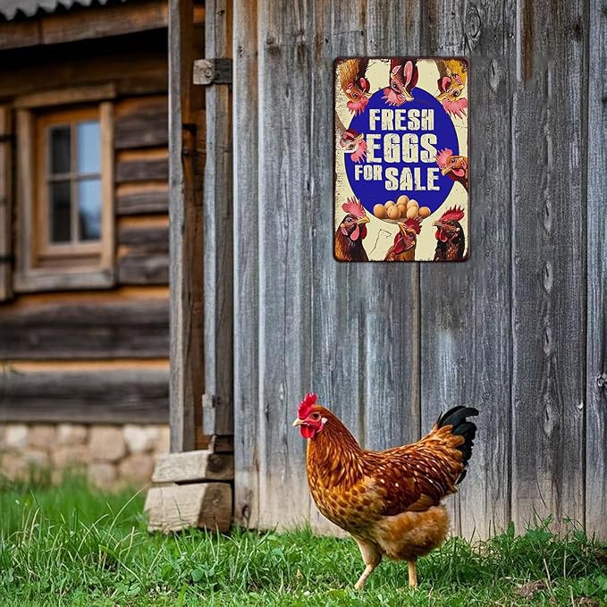 Vintage Fresh Eggs & Chicken Metal Sign Rustic Farm Eggs For Sale Tin Poster Home Kitchen Farmhouse Chicken Wall Decor 12x8 Inch