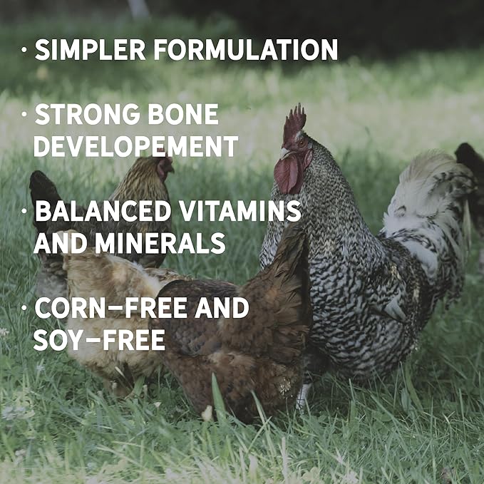 New Country Organics | Pastured Perfect Starter Feed for Baby Chicks | Corn-Free and Soy-Free | 21% Protein | Certified Organic and Non-GMO | 40 lbs