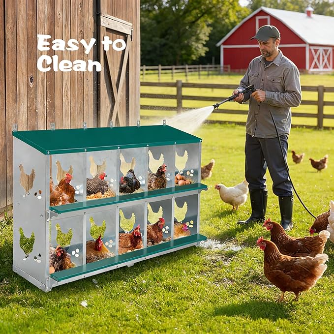 Chicken Nesting Box 10 Compartment with 10 Pet Moisture Pads and 4 Fake Eggs Roll Away Egg Collection, Perch, Lid Cover for Egg Protection - Wall Mount/Free Standing Nest Box for Chickens, Hens, Ducks