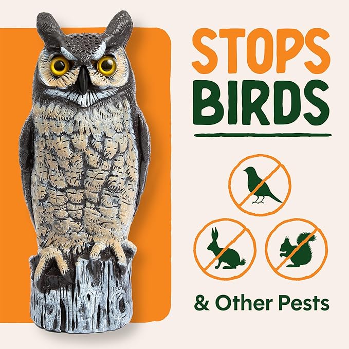 Dalen Large Fake Owl Decoy to Scare Birds Away - 16 in Hand-Painted Great Horned Owl Garden Scarecrow for Natural Pest Control - Fixed Head Design - Secure Upright by Filling with Sand/Gravel Only