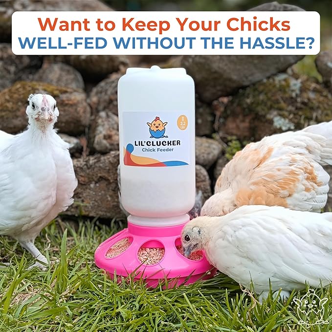 Lil'Clucker 1L Chick Feeder, 1.5L Chicken Waterer - No Leakage Chick Feeder and Waterer Kit, Durable Chicken Water Feeder, Chicken Feeder and Waterer Set, Poultry Waterer (Pink)