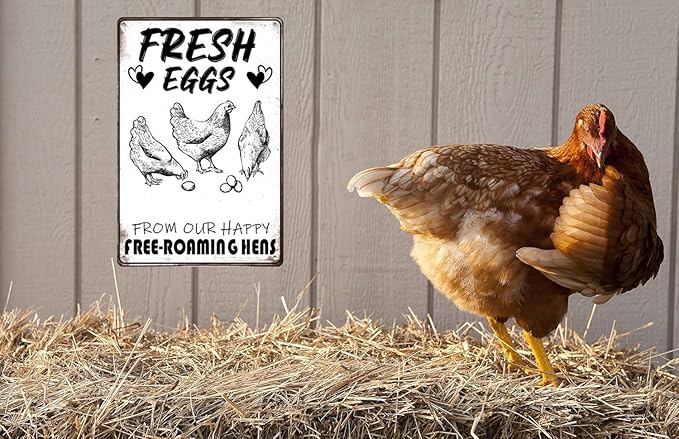Retro Funny Chicken Tin Sign,Vintage Chicken Coop Metal Poster, Farm Wall Art Decor for Outdoor Home Fence Kitchen Bedroom,Gifts 8×12 Inches (FRESH EGGS)