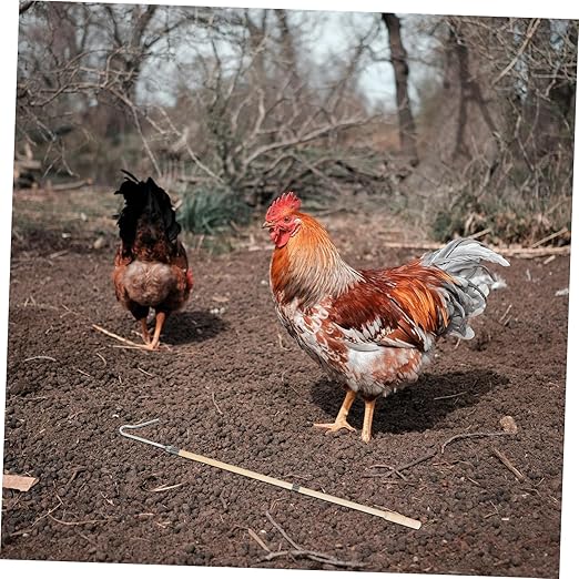 Kisangel Heavy Duty Poultry Catcher Hook for Efficient Chicken Handling Versatile Tool for Farms and Animal Capture Animal Safety Design