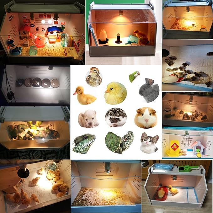 Chick Brooder Box, a Beginner's Kit for Raising Chickens, Suitable for Chicks, Quails, Ducks and Other Poultry, Manual Incubator with Heater
