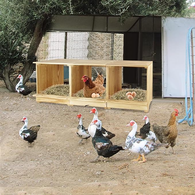 Nesting Boxes for Chickens 3 Compartments Chicken Nesting Boxes Wall Mount Nest Box for Chicken Coop Versatile Use Wood Nesting Boxes for Hens Easy to Assemble for Chickens, Hens, Ducks