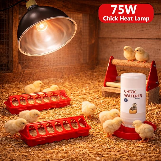 Chicken Brooder Box for Chick Starter Kit - 7 Pcs Chicken Feeder and Waterer Set with 75W Heat Lamp, Perch Stand to 15 Chicks, Duck, Quail