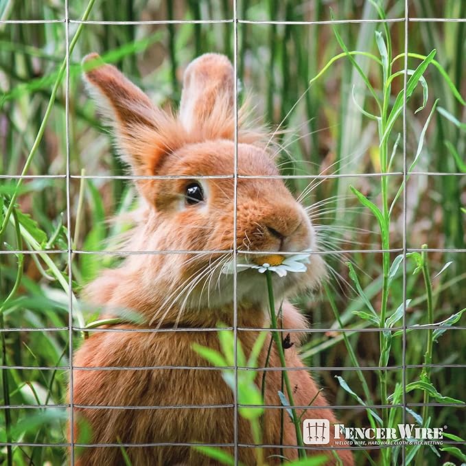 Fencer Wire 16 Gauge Galvanized Super Rabbit Guard Garden Fence, Welded Wire Fence for Preventing Rabbits, Dogs, Cats, Chickens, and Other Small Animals from Damaging The Garden (24 in. x 50 ft.)