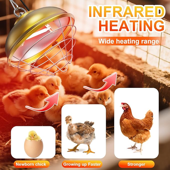 Nexum Heat Lamp for Chicken Coop, Dog Kennel, Cat Bed & Reptiles - 300W Adjustable Infrared Heat Lamp with 2 Heat Settings, Waterproof Aluminum Housing for Poultry, Livestock & Pets