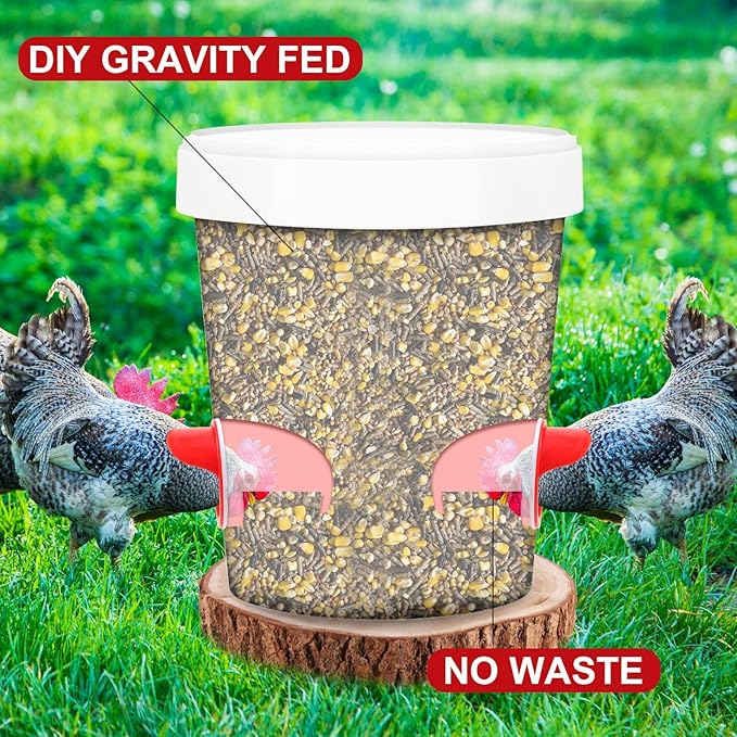 DIY Chicken Feeders No Waste, Automatic Chicken Feeders and Waterer Set, 6 pcs Poultry Feeder 6 Automatic Chicken Water Feeder, Rodent Proof Rain Proof Poultry Feeder Kit for