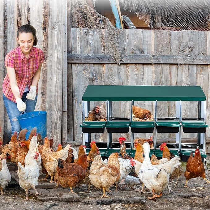 10 - Compartment Roll Away Chicken Nesting Box, Wall - Mount Laying Egg Box with Easy Egg Collection & Cleanable Pull - Out Trays, Hen Roosting Boxes for Efficient Egg Laying（Green）