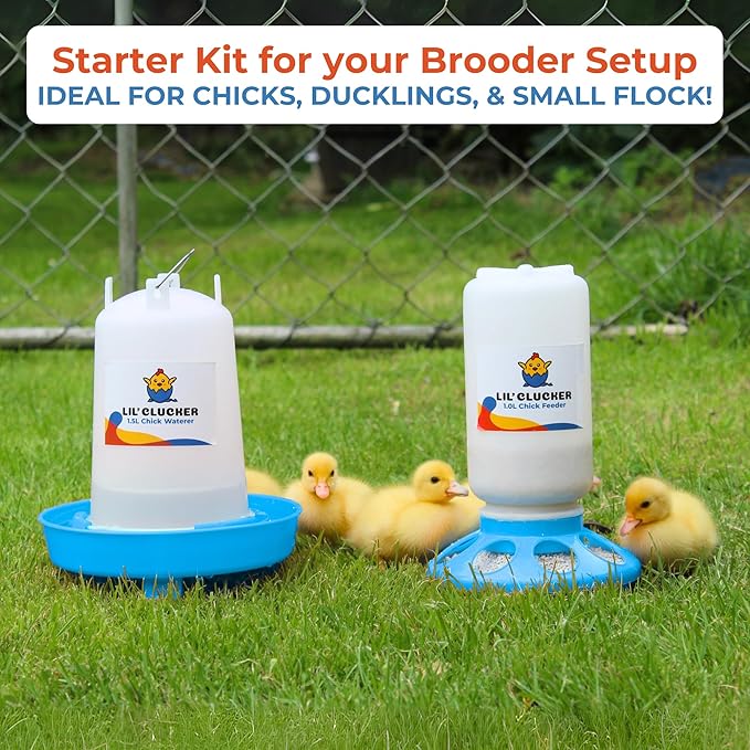 Lil'Clucker 1L Chick Feeder, 1.5L Chicken Waterer - No Leakage Chick Feeder and Waterer Kit, Durable Chicken Water Feeder, Chicken Feeder and Waterer Set, Poultry Waterer (Blue)