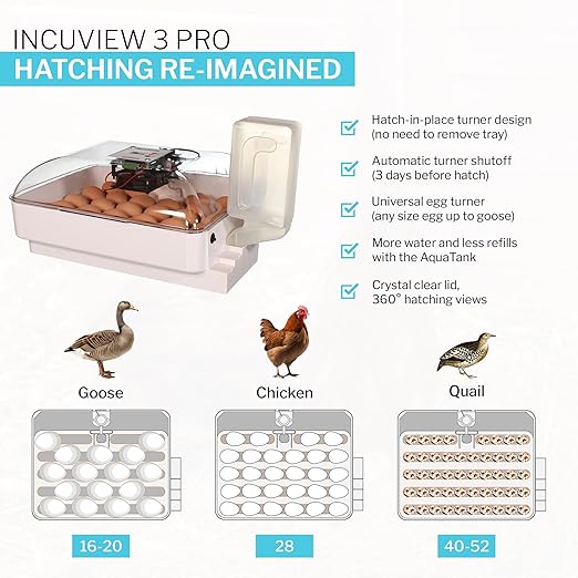 Incubator Warehouse IncuView 3 Pro All-in-One Automatic Egg Incubator with AquaTank - Chick Incubator with Automatic Egg Turner for Hatching Chicken - Goose, Duck, Turkey, Quail, Chicken Incubator