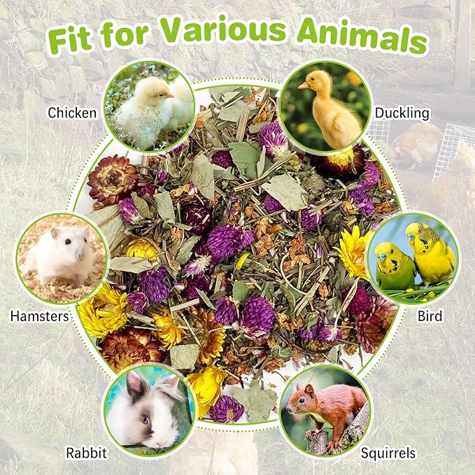 Hamiledyi 21 oz Chicken Nesting Herbs Natural Nesting Box Herbs Aromatic & Fresh for Coop & Nest Boxes Natural Dried Herbs for Laying Hens & Chicks Increase Egg Production