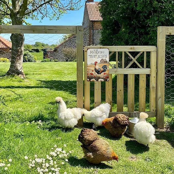 Funny Chicken Coop Sign Chicken In The Morning When I Rise Give Me Jesus Metal Tin Sign Wall Decor for Farmhouse Home Kitchen Bar Yard Porch 12×8 Inch