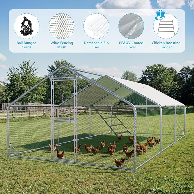 Large Metal Chicken Coop, Chicken Runs for Yard with Cover, Walk-in Chicken Run, Outdoor Chicken Pen, Heavy-Duty Galvanized Frame with Roosting Ladder,10x20x6.5FT