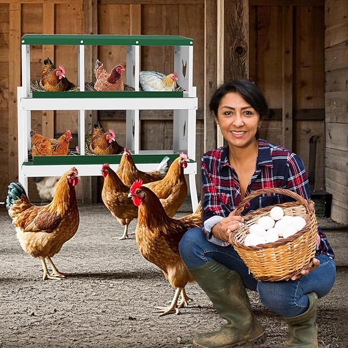 Metal Chicken Nesting Boxes, Heavy-Duty Galvanized Steel Egg Laying Box with 6 Compartments, Rustproof, Easy to Install & Clean, Wall-Mountable Design for Poultry Coops- Green with Stand