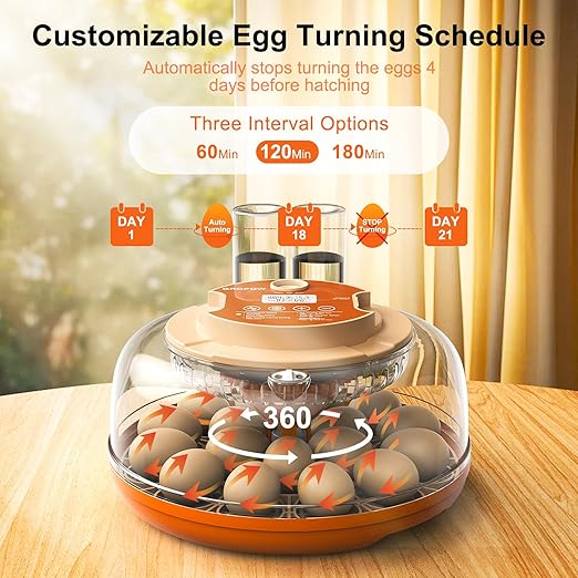 18 Egg Incubator, Automatic Turning with Temperature & Humidity Control, Egg Candler, 360 View with Air Vent, Auto Water Bottle Refill, Chicken Incubator for Hatching Eggs