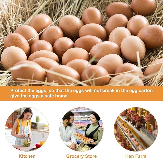 50 PCS Pulp Quail Egg Cartons 12 Count 3X4 Quail Egg Box One Dozen Quail Egg Holder Reusable Cardboard Quail Egg Carton with a Quail Eggs Scissor