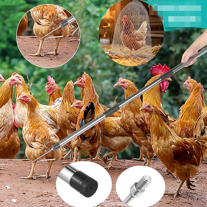 Chicken Net Catcher,74" Adjustable Extension Pole Chicken Hook Catcher Kit，The Animal Net Catcher Is Made Of Stainless Steel,Suitable For Catching Small Duck,Goose,Bird,Fish, Etc. （15.3 x 23.2" Net)